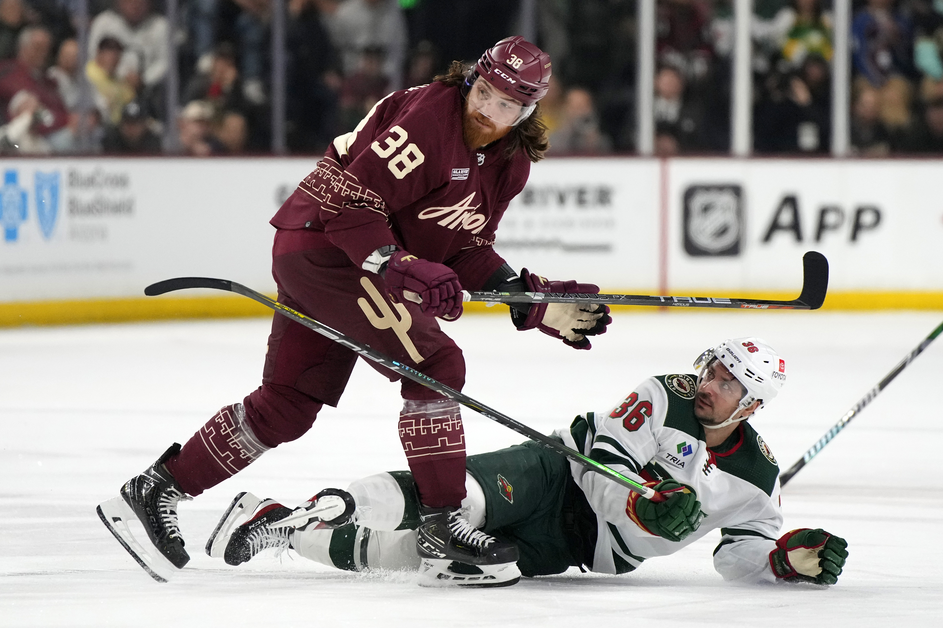 Wild Coyotes Hockey