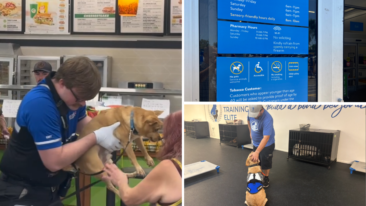 5 people injured after dog fight inside Walmart in Palm Harbor: PCSO