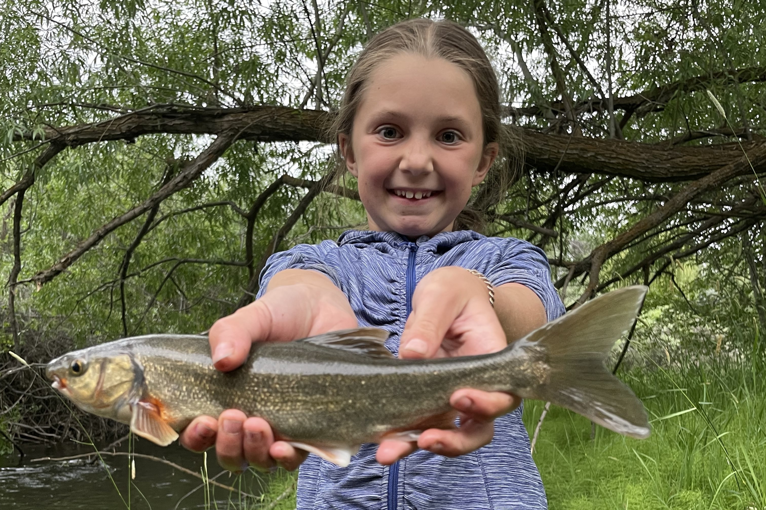 Young angler lands Idaho state record catch-and-release chiselmouth