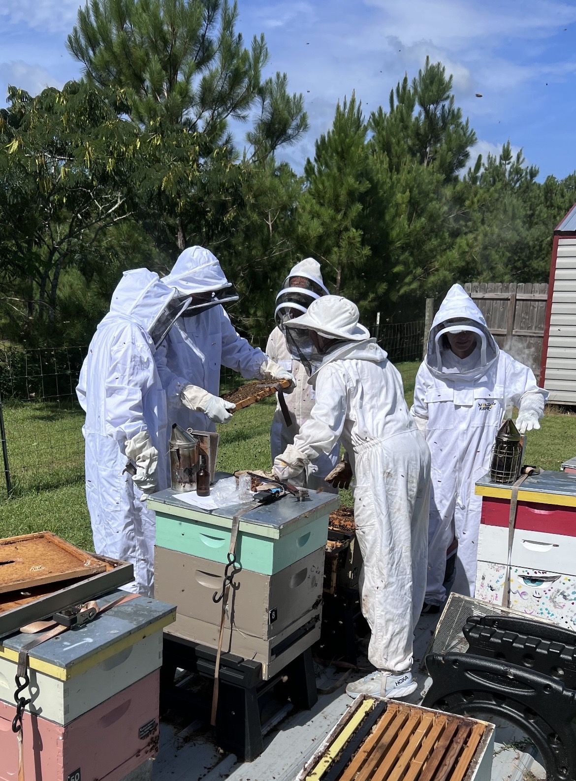 Local Bee Farm Making a Sweet Impact