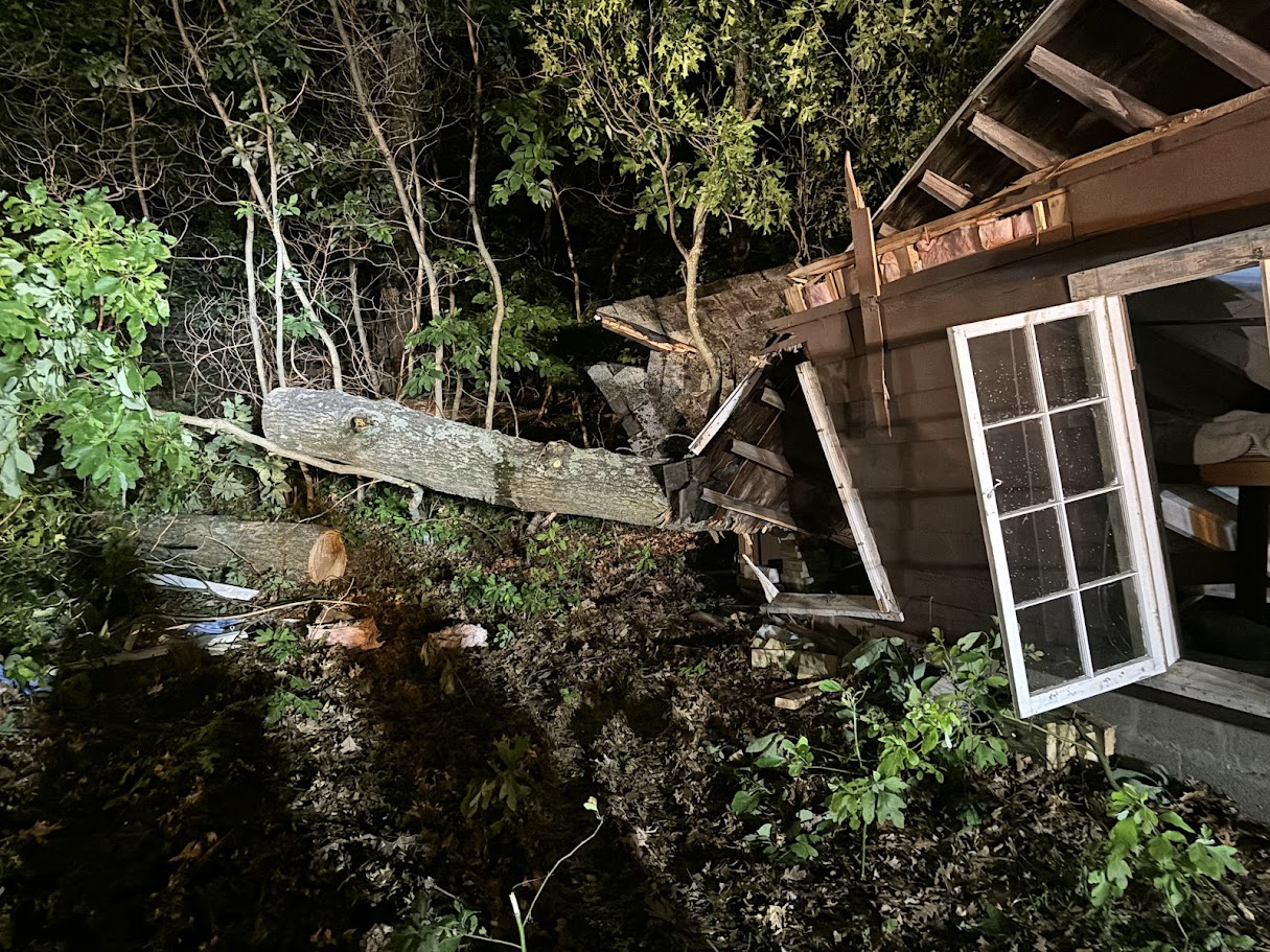 tree falls on cabin