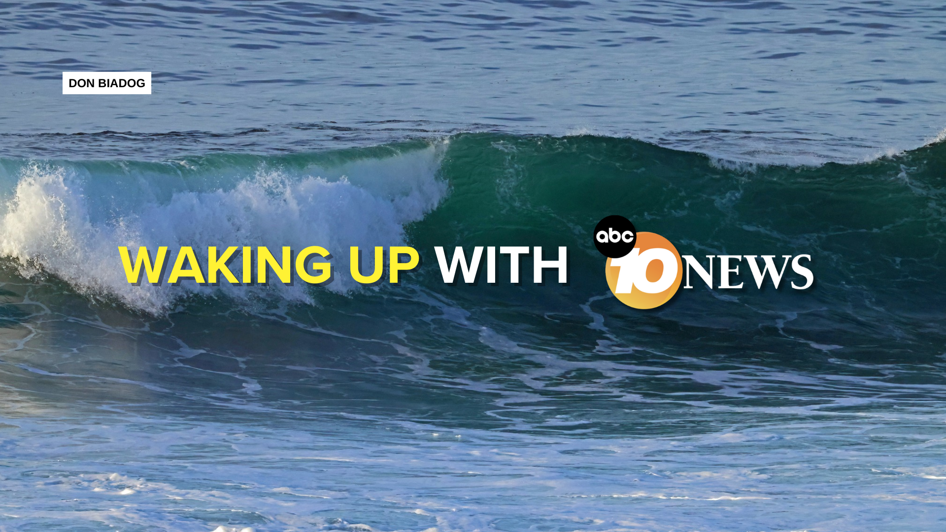 newsletter_don_biadog_la_jolla_shores_021825.png