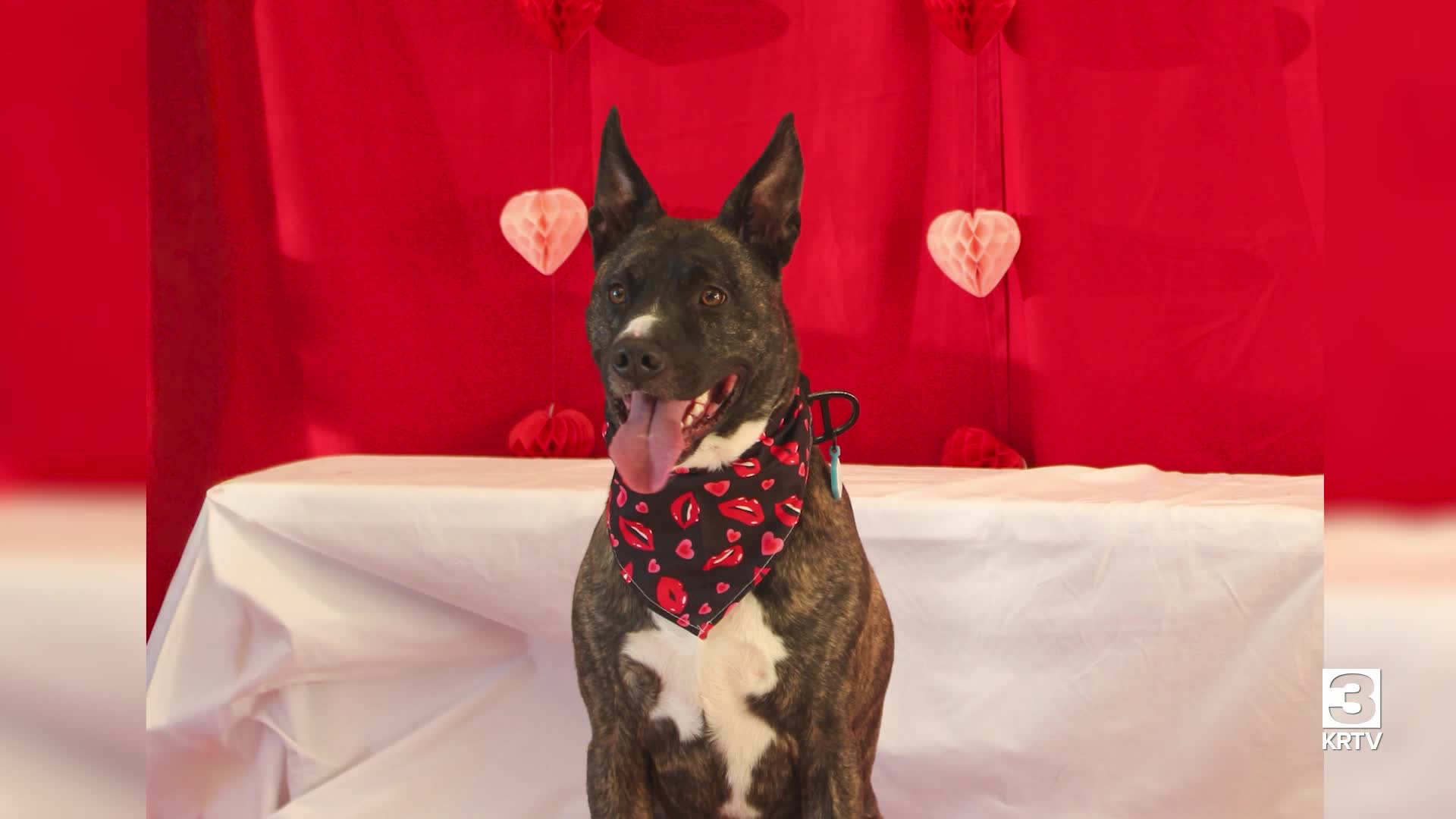 Poster image (1).jpg