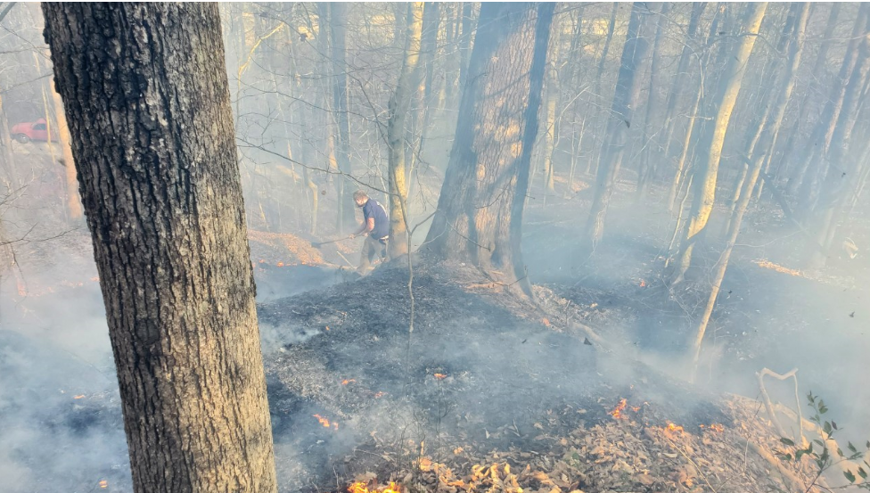 Lee County fire.PNG