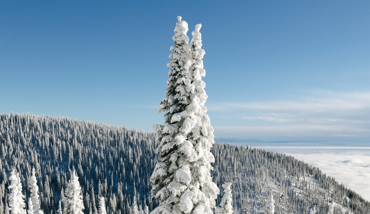 Whitefish Mountain Resort Winter