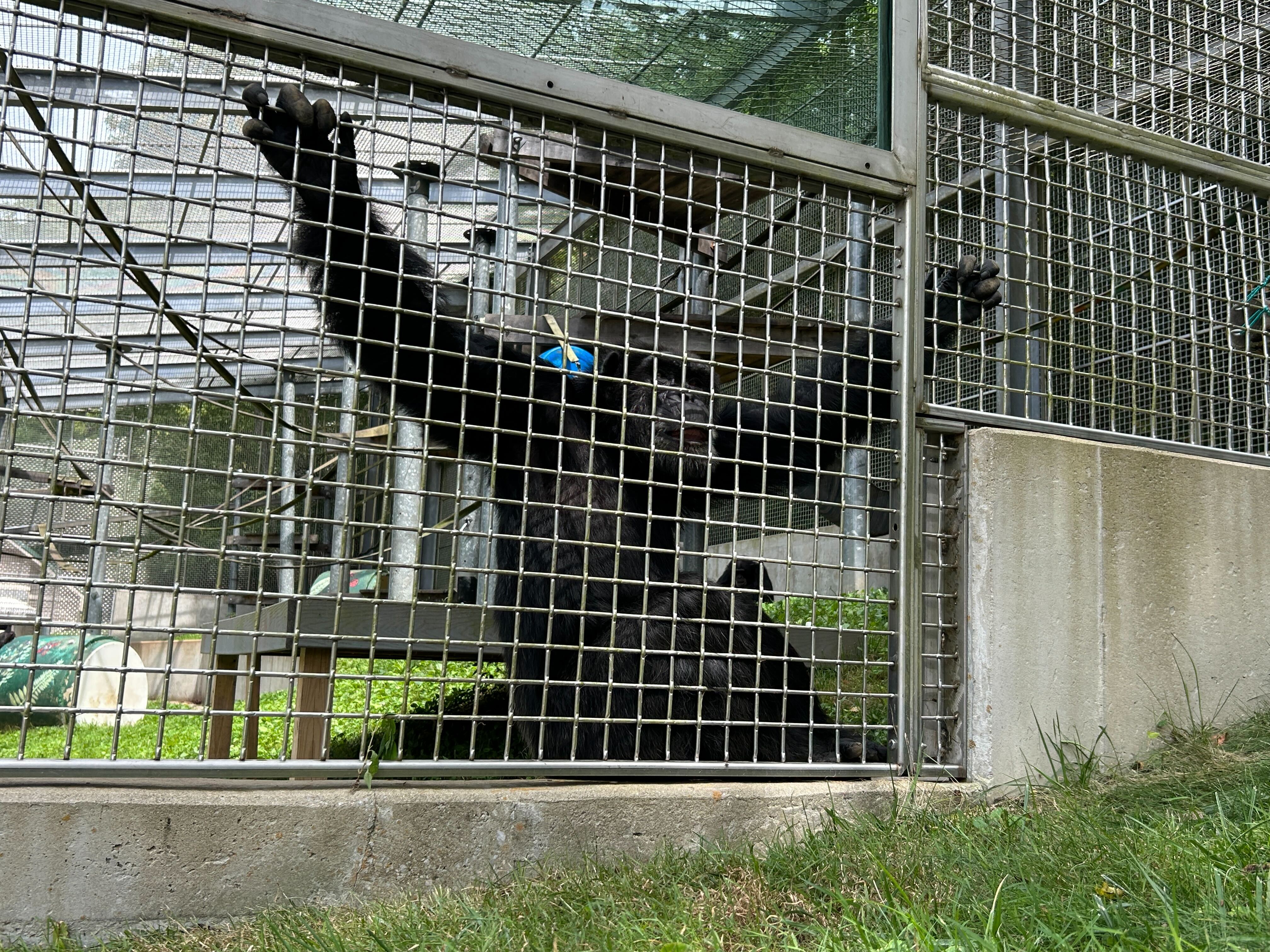 Primate Rescue Center 