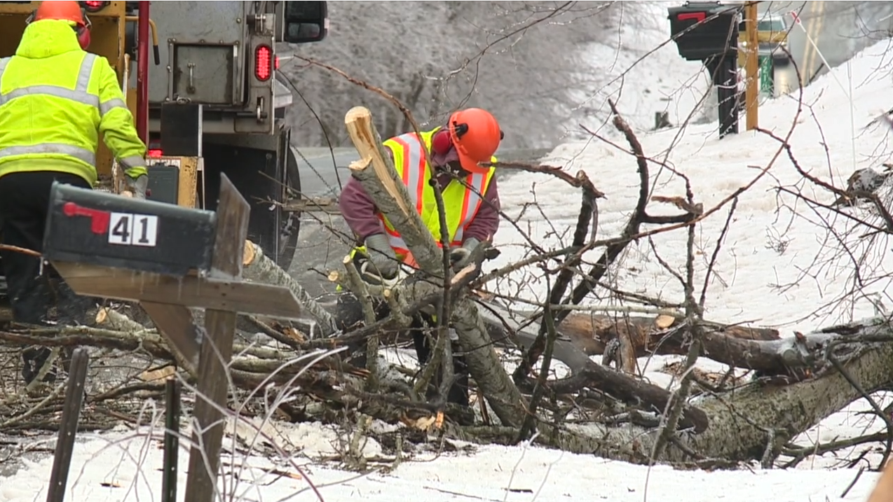 2.27.23 Ice Storm Cleanup Closeup