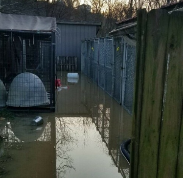 Franklin County humane society flooded.PNG