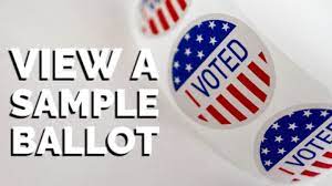 Vote2.jpg