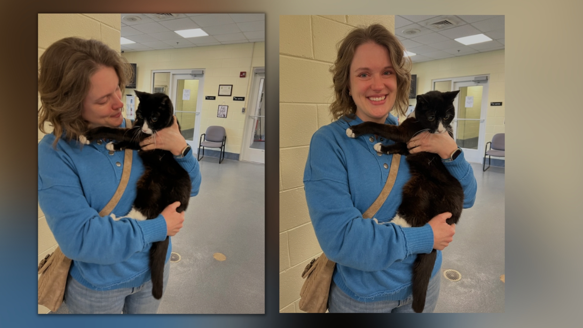 Henrico cat found 1.jpg