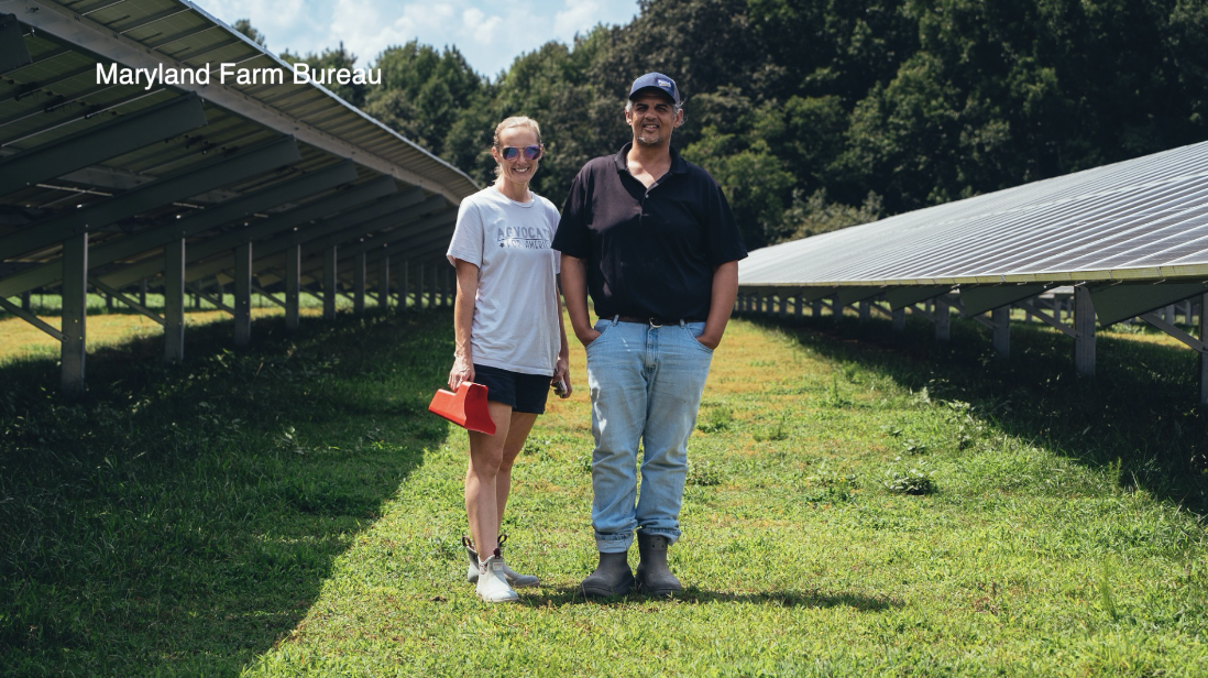 Screenshot 2025-02-10 at 2.22.58 PM.png