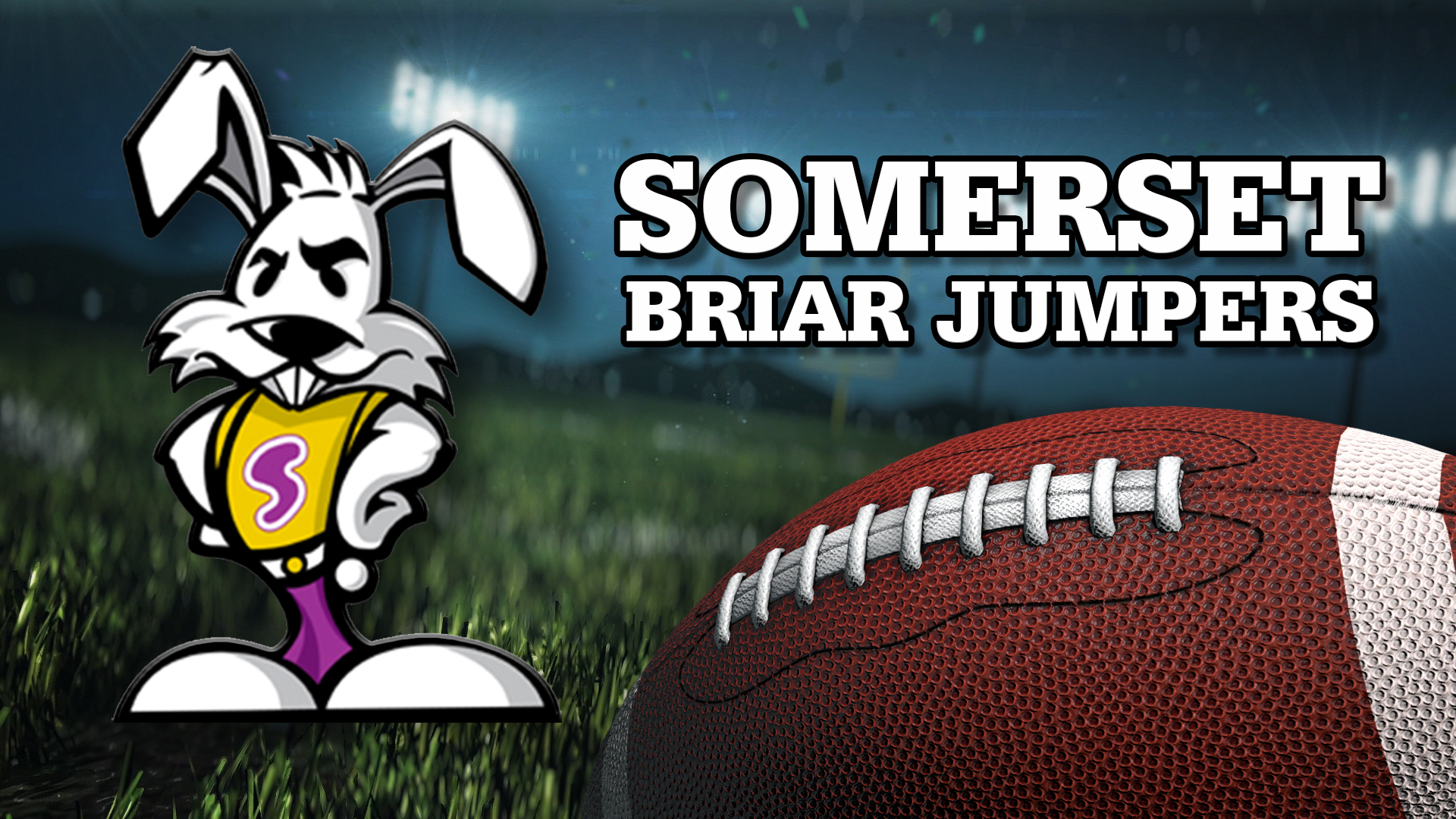 SOMERSET FOOTBALL MONITOR.jpg
