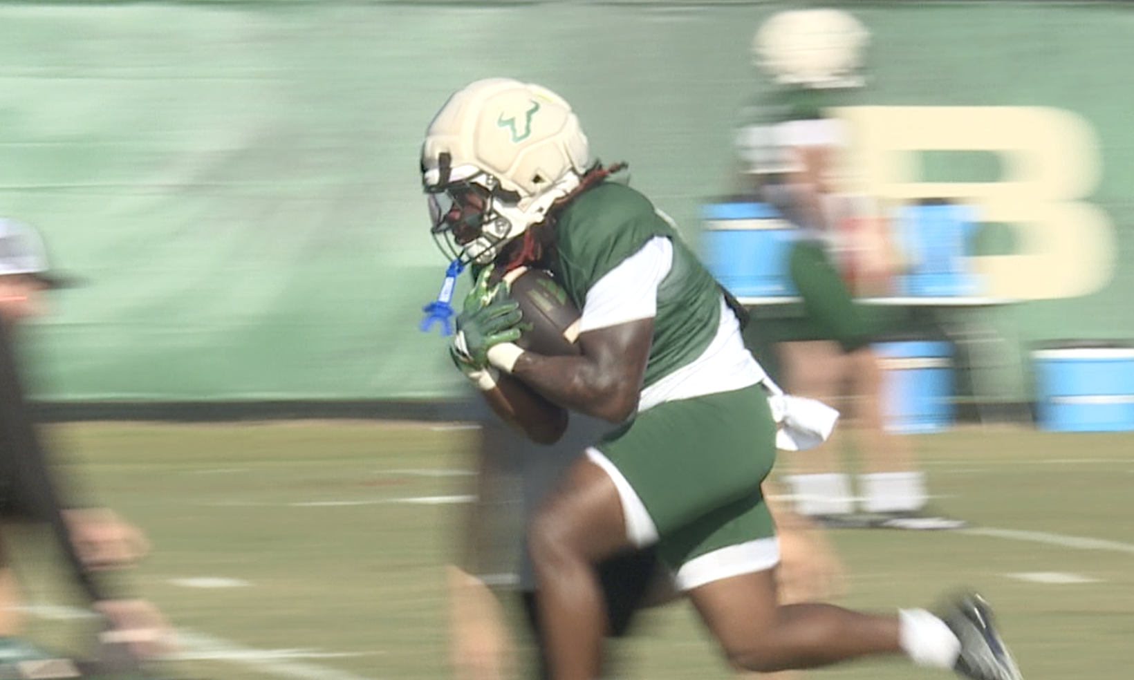 USF Football 1.png
