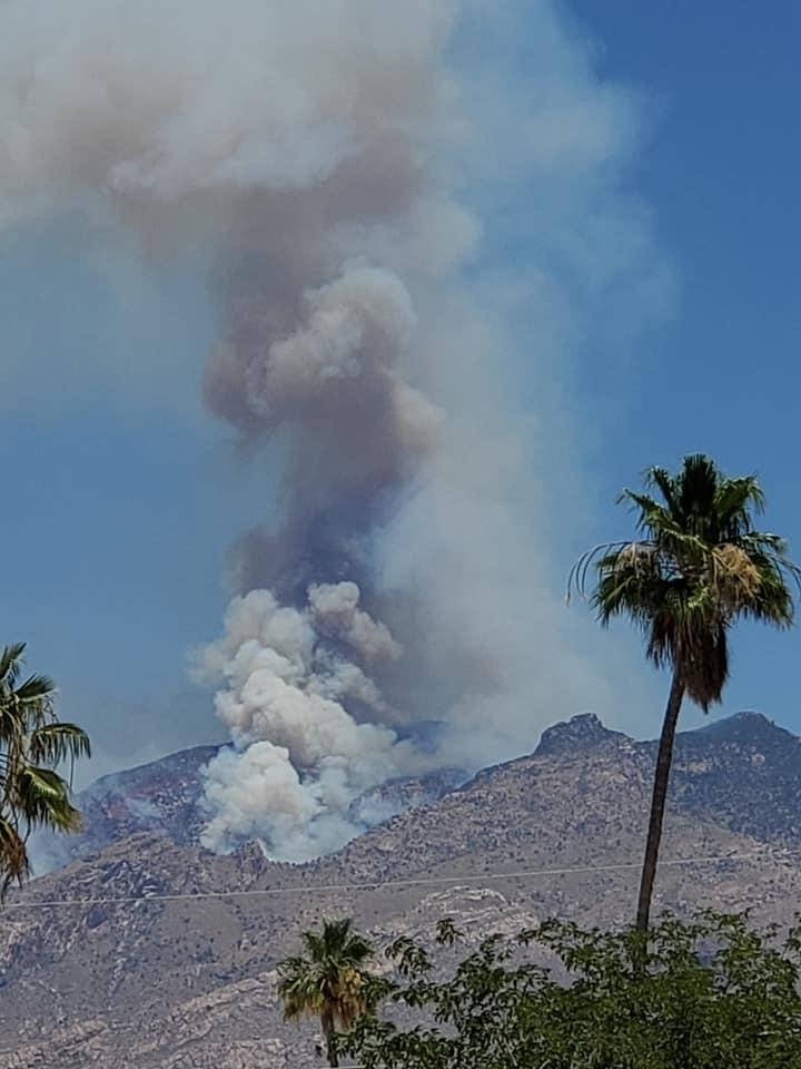 Mt. Lemmon, Summerhaven under 'SET' evacuation notice due to Bighorn Fire