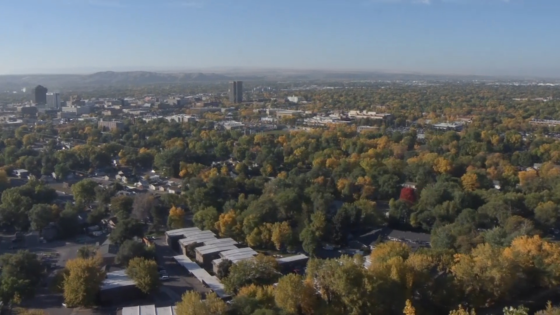 Billings_2.11.1.jpg
