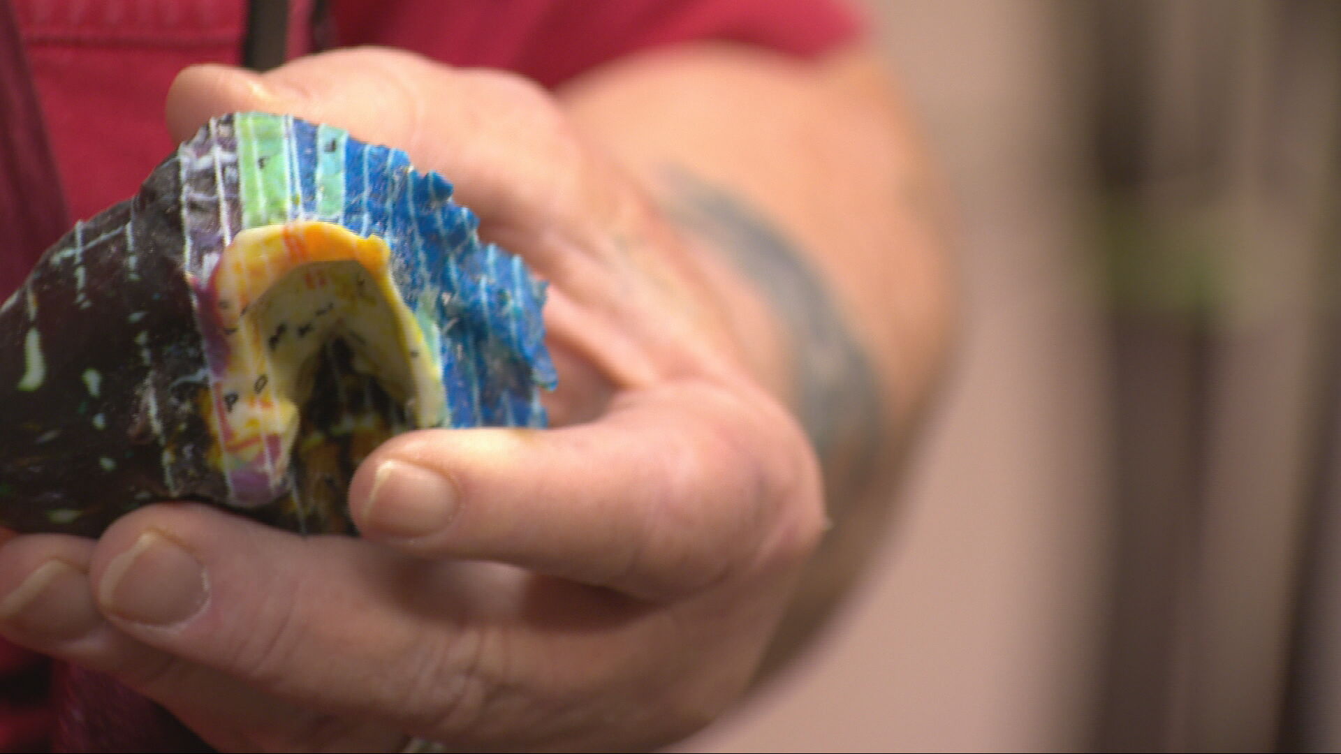 3d tumors study raw_frame_55900.jpeg