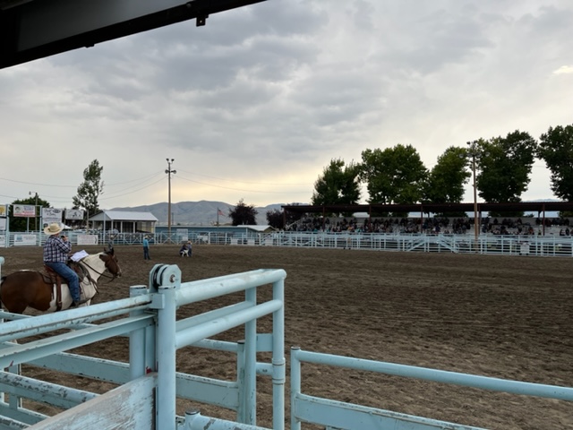 Family ties and rodeo tries pic