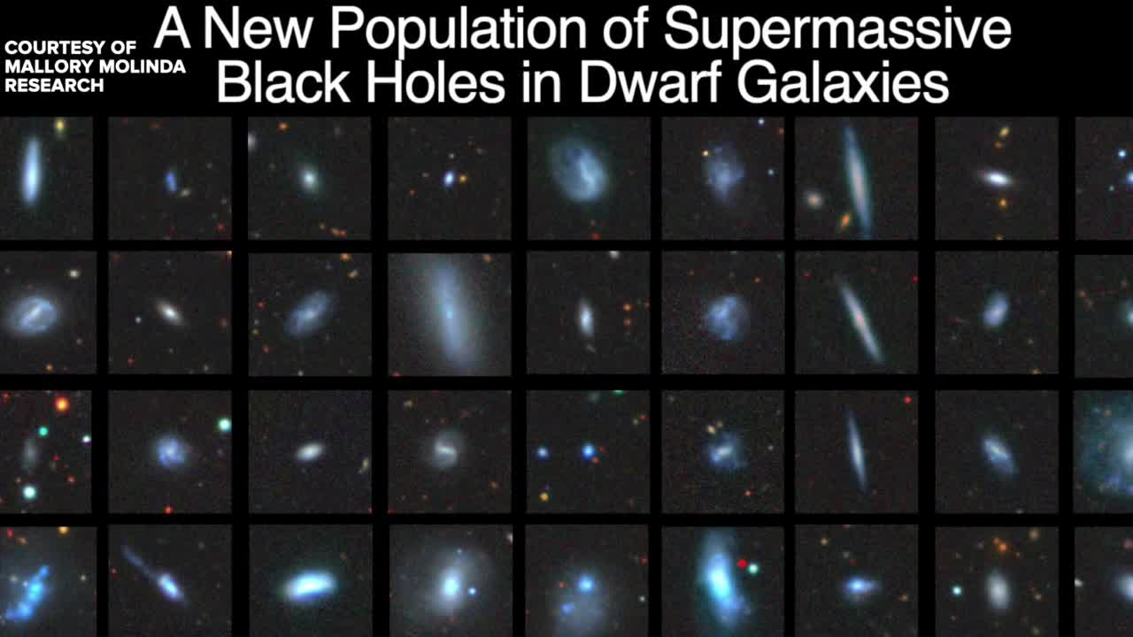 black holes molina.jpg