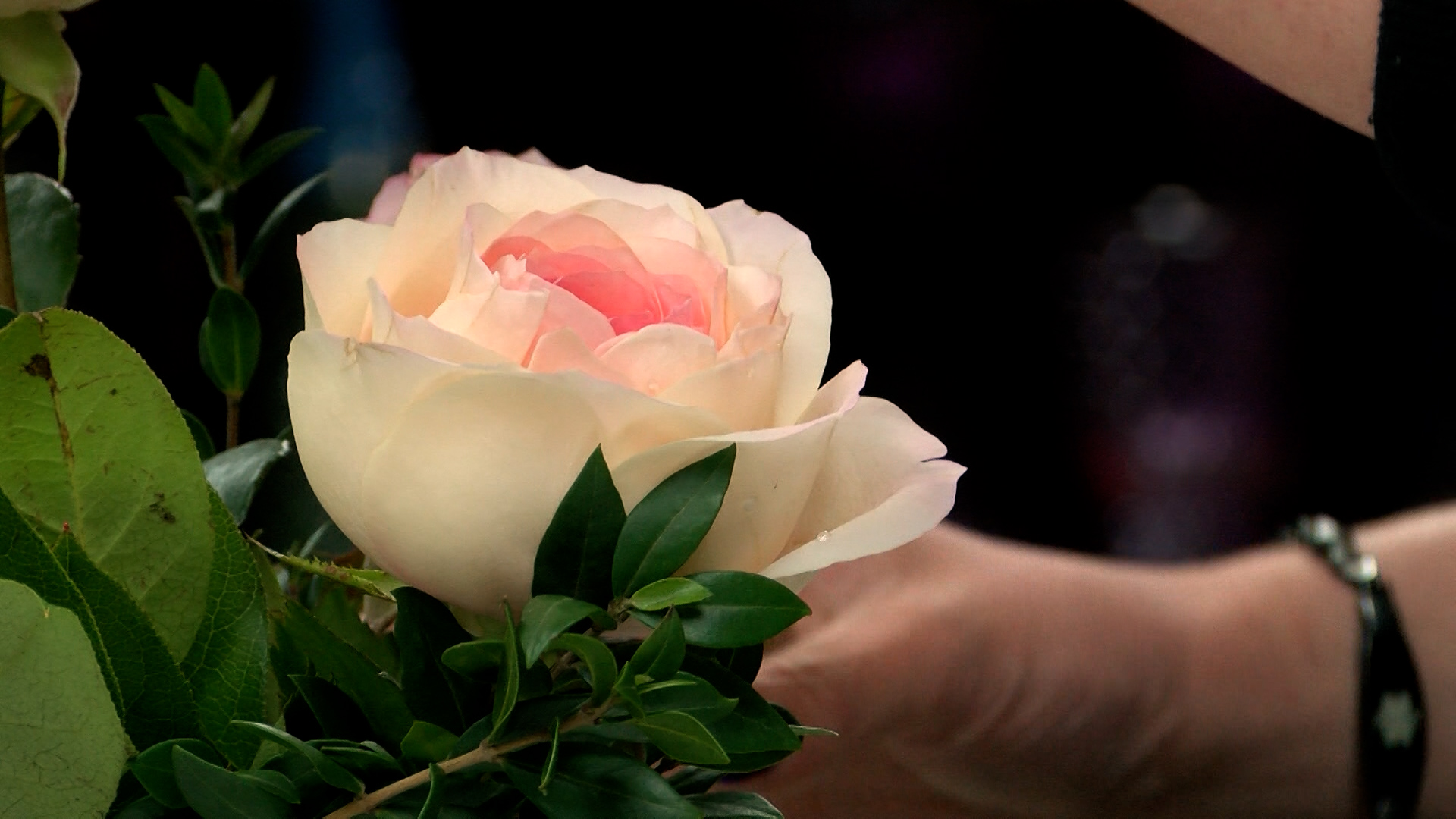 Floral arrangement by A Flower Girl's Dream