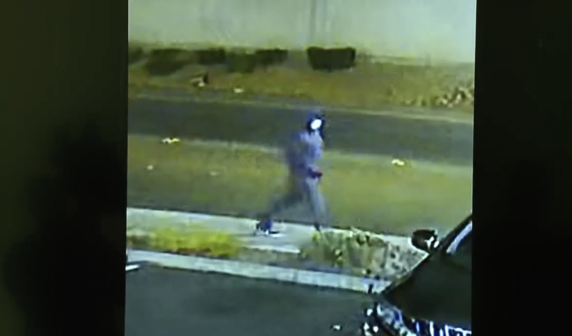 Police apprehend suspect in stabbing spree 