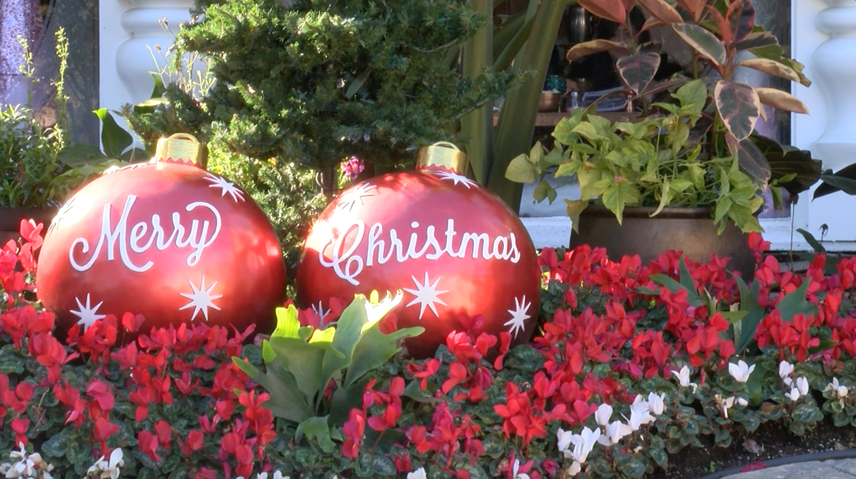 Madonna Inn Christmas.png