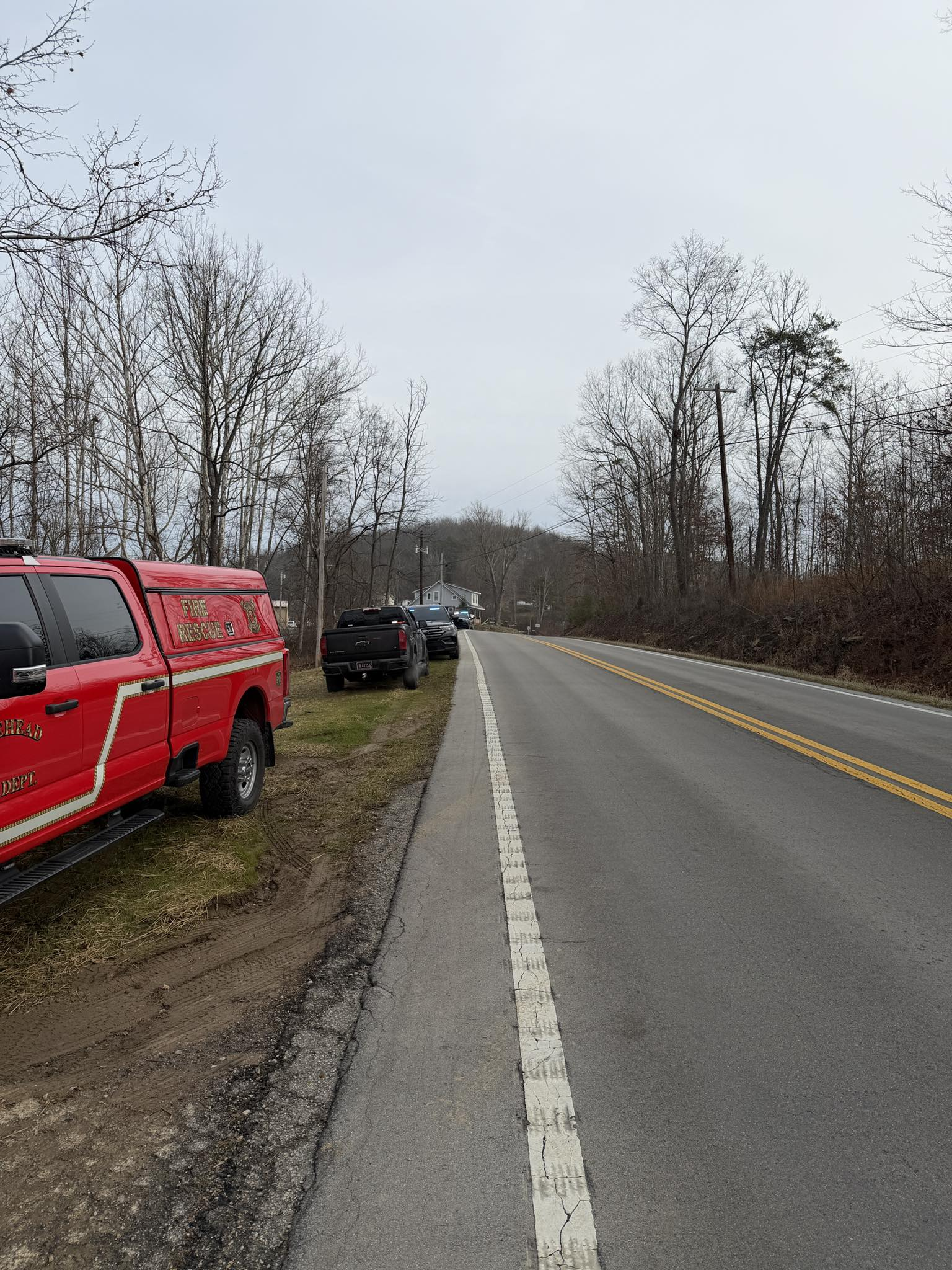 May be an image of grass, fog, road and tree.png