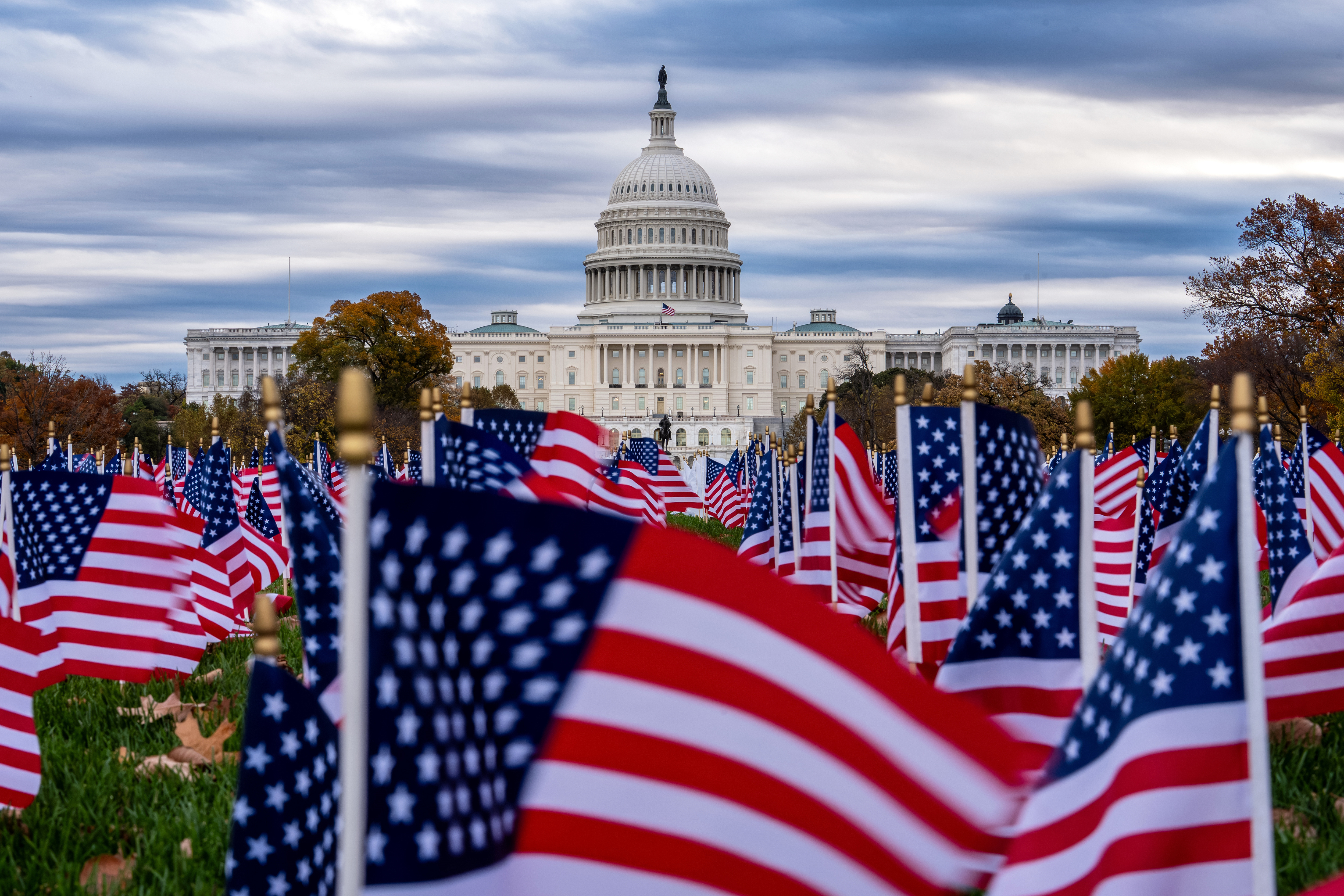 AP Poll American Flag
