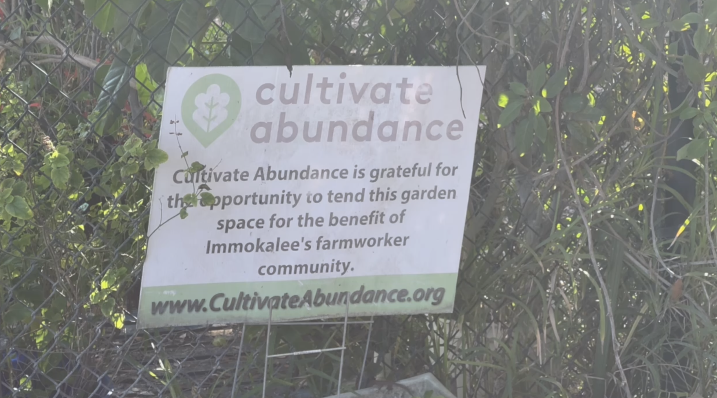 Non-profit organization sees increased demand for food assistance after raids 