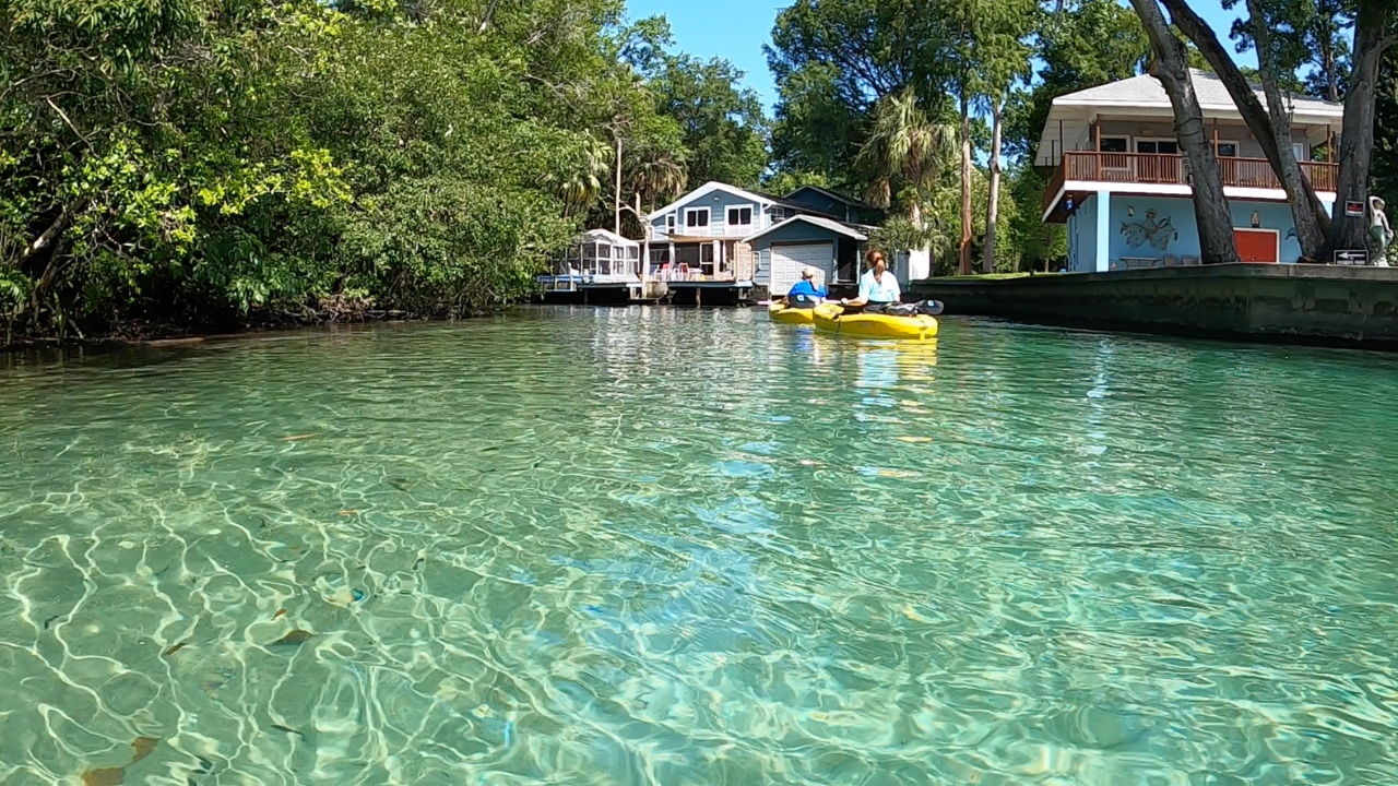 Weeki Wachee Chad Mills WFTS.png