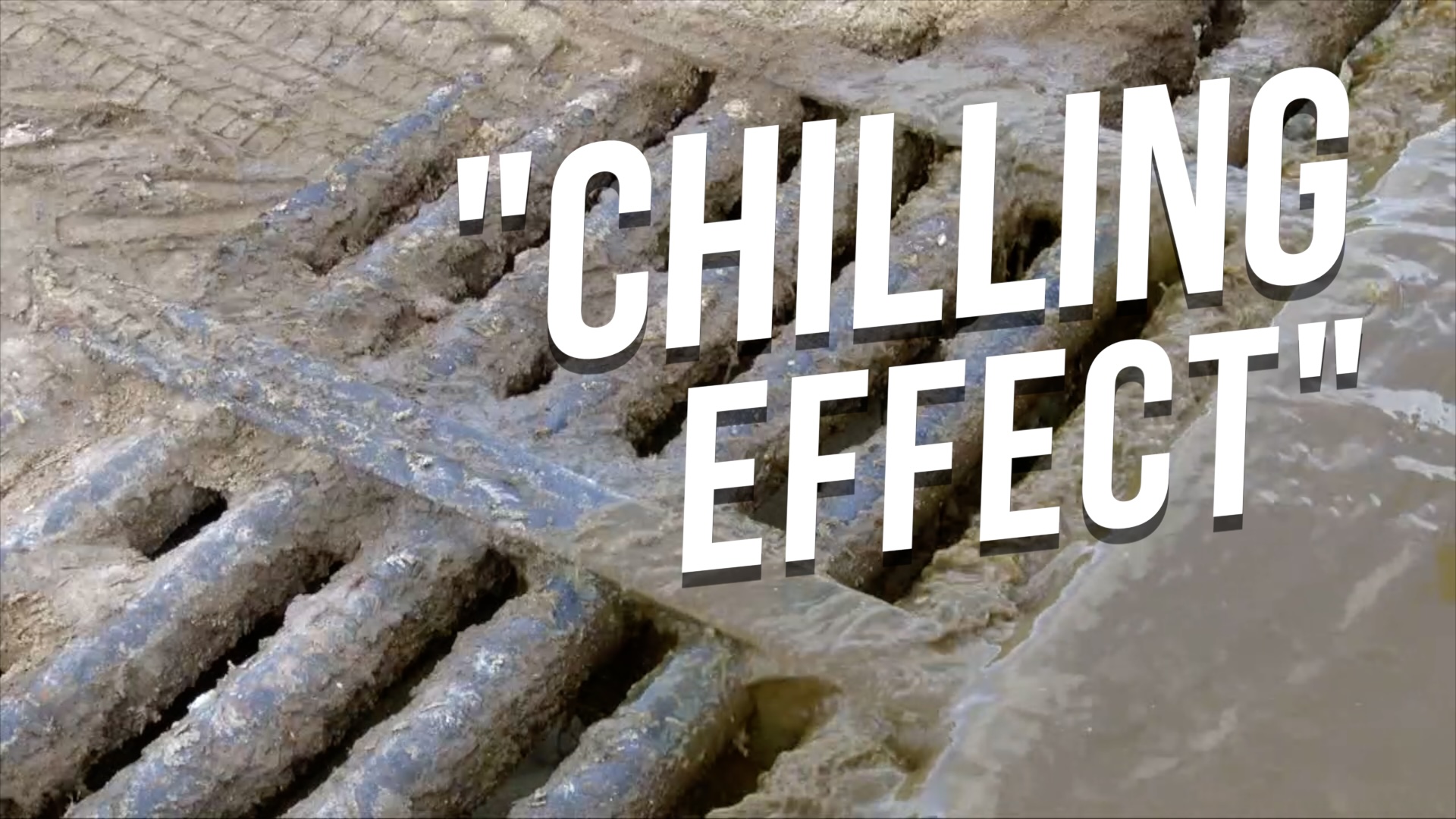 Florida Farm Bill Controversy 