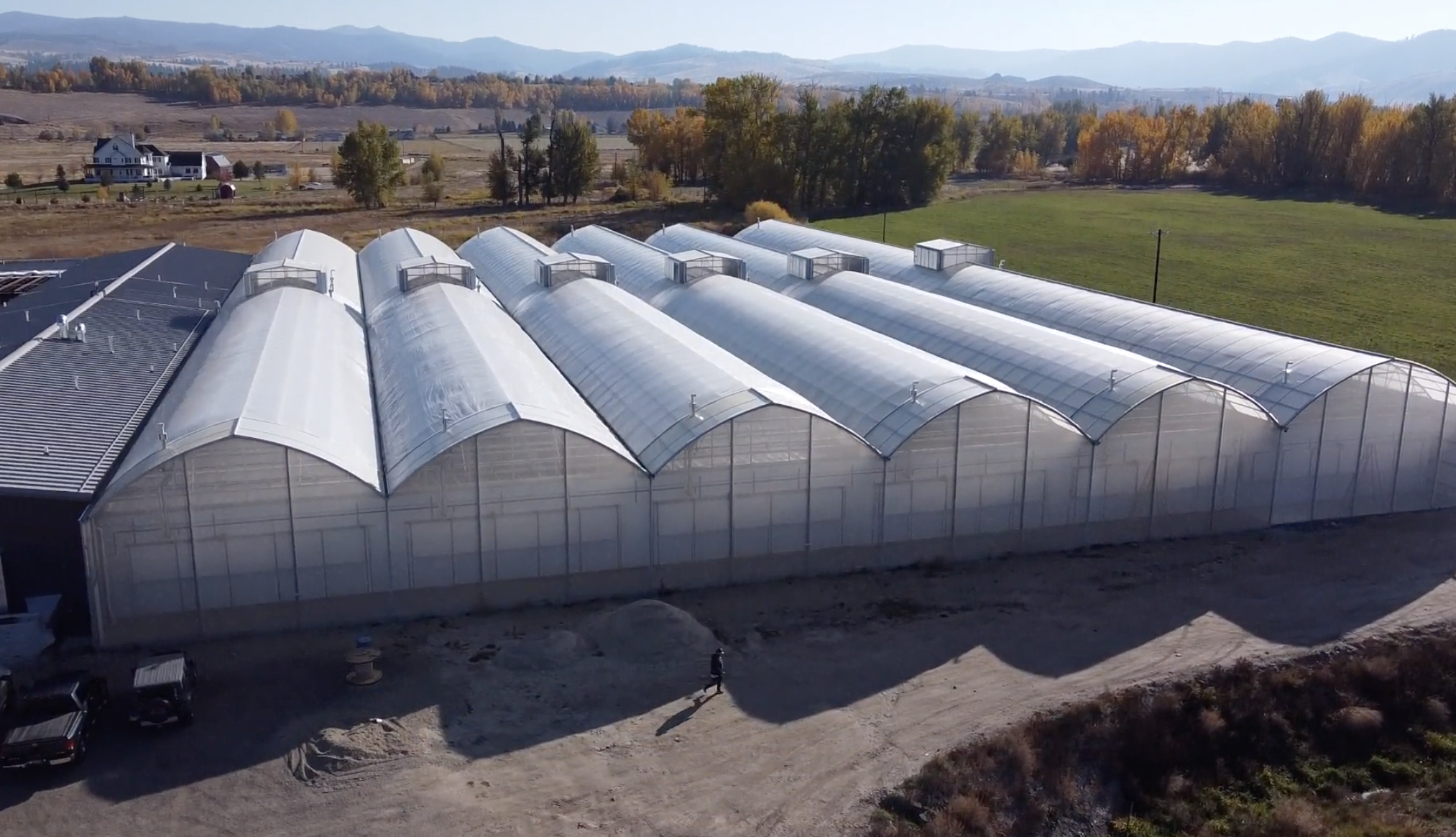 Local Bounti is a company specializing in growing facilities that are focusing on a new way of farming.