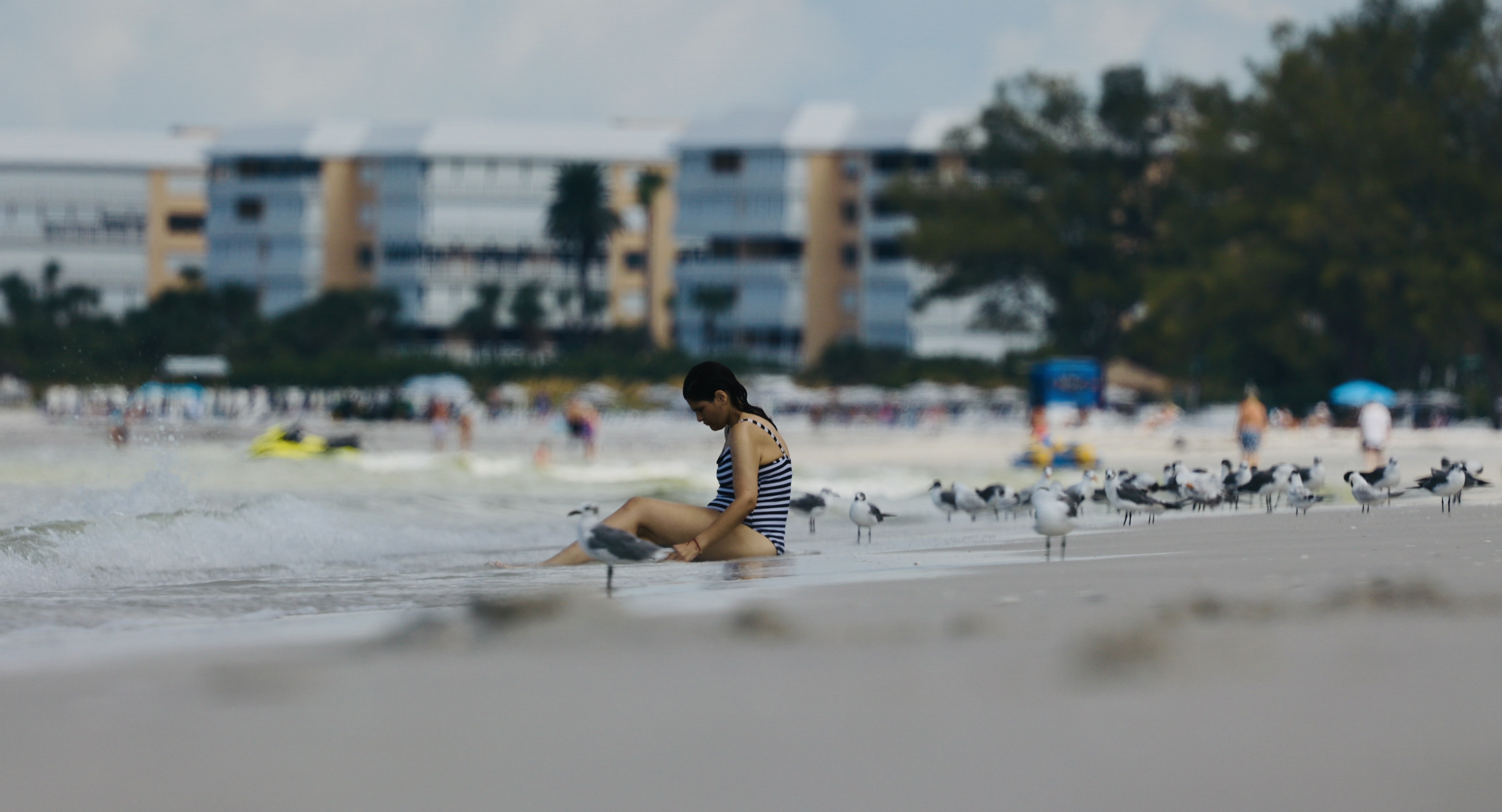 A tourist sits near seagulls on St. Pete Beach, Florida.