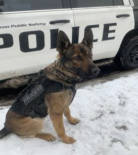 police canine.png