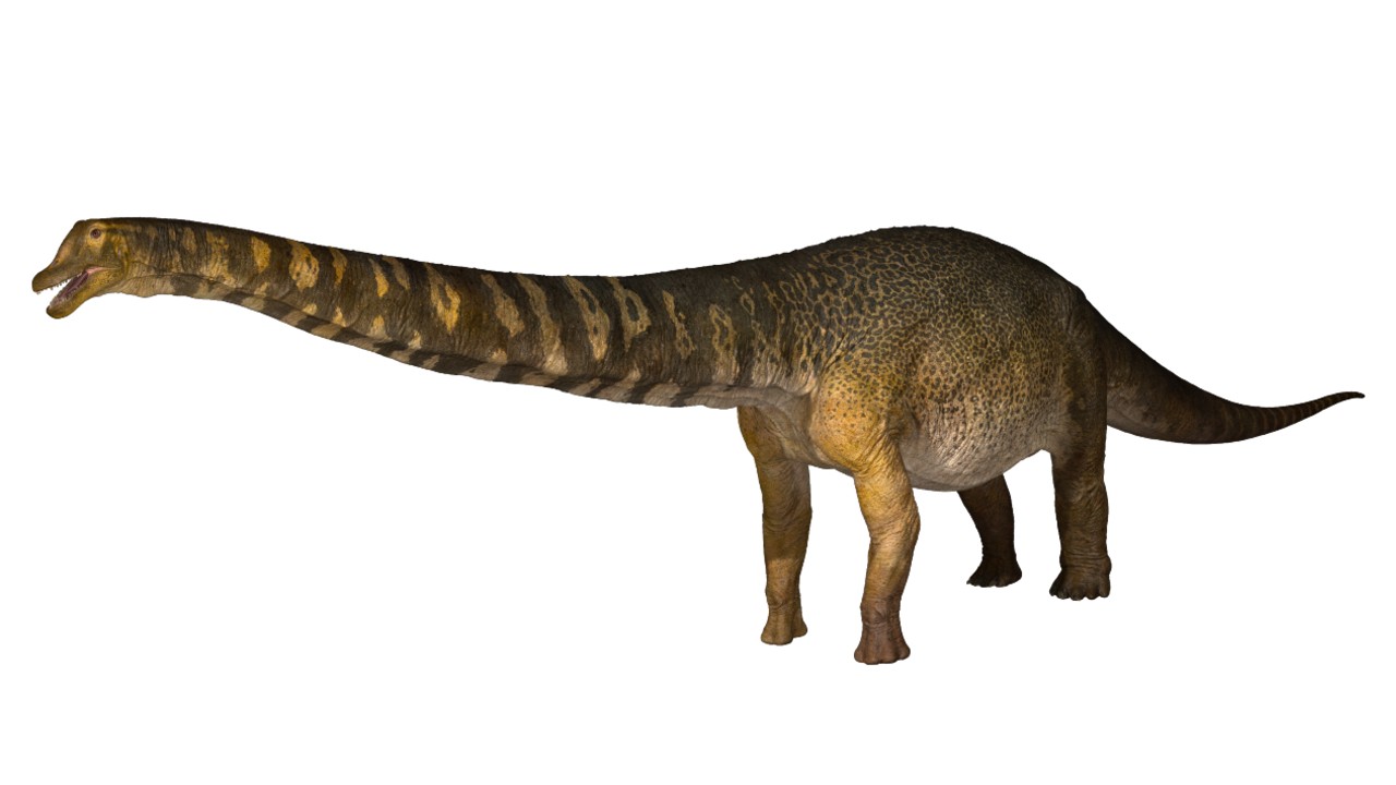 Dinosaur.jpg