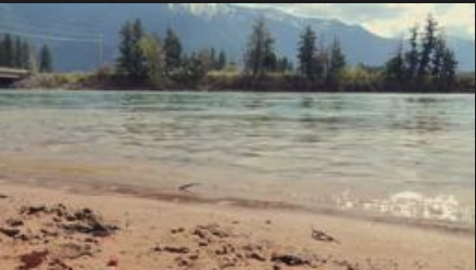 Flathead River Alliance