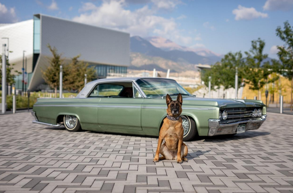 CSPD K9 Britta.png