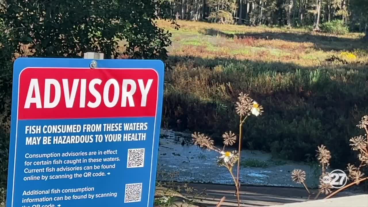 Over $300,000 going into FSU research tool to predict harmful algae blooms in freshwater lakes