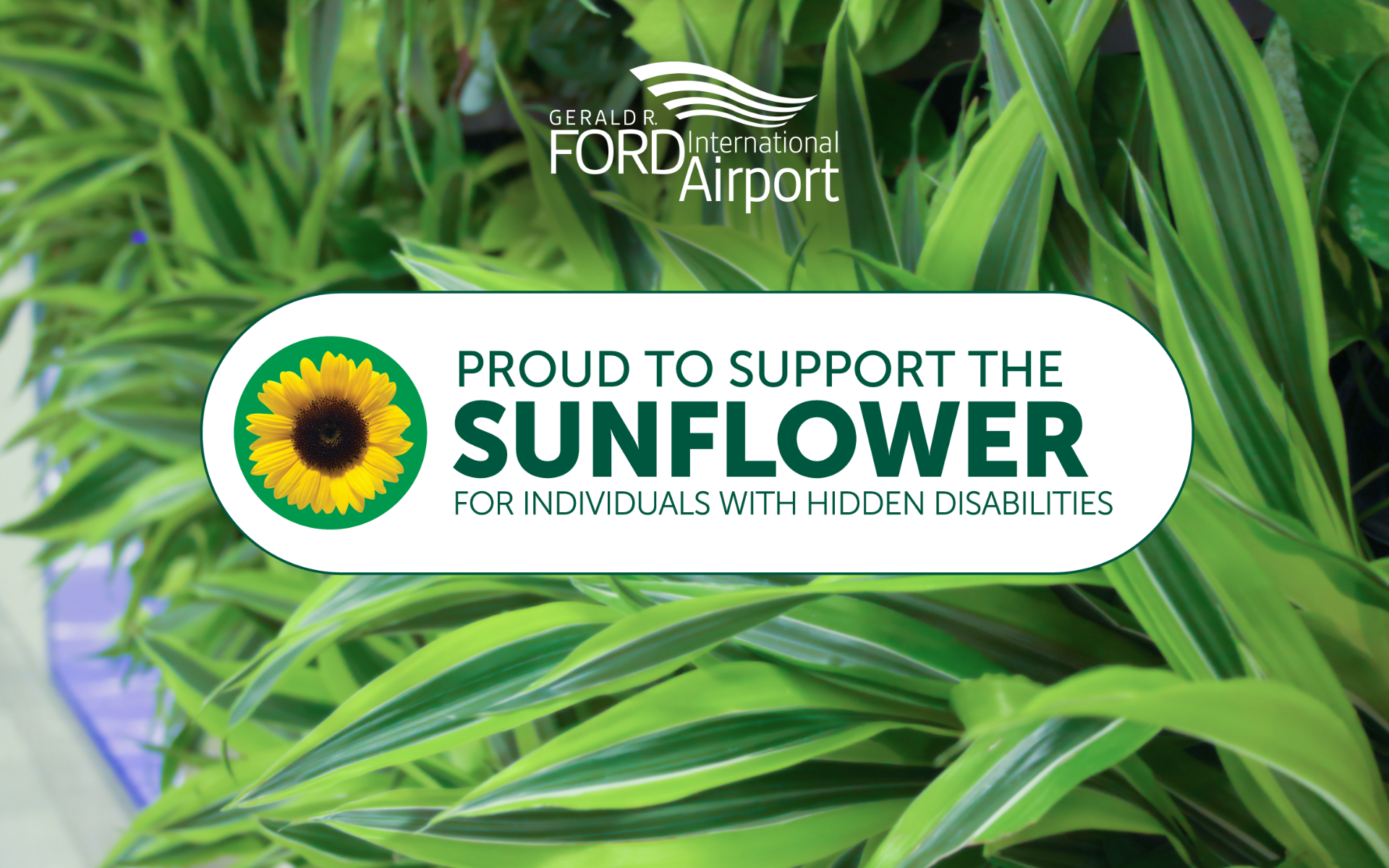 The Hidden Disabilities Sunflower program