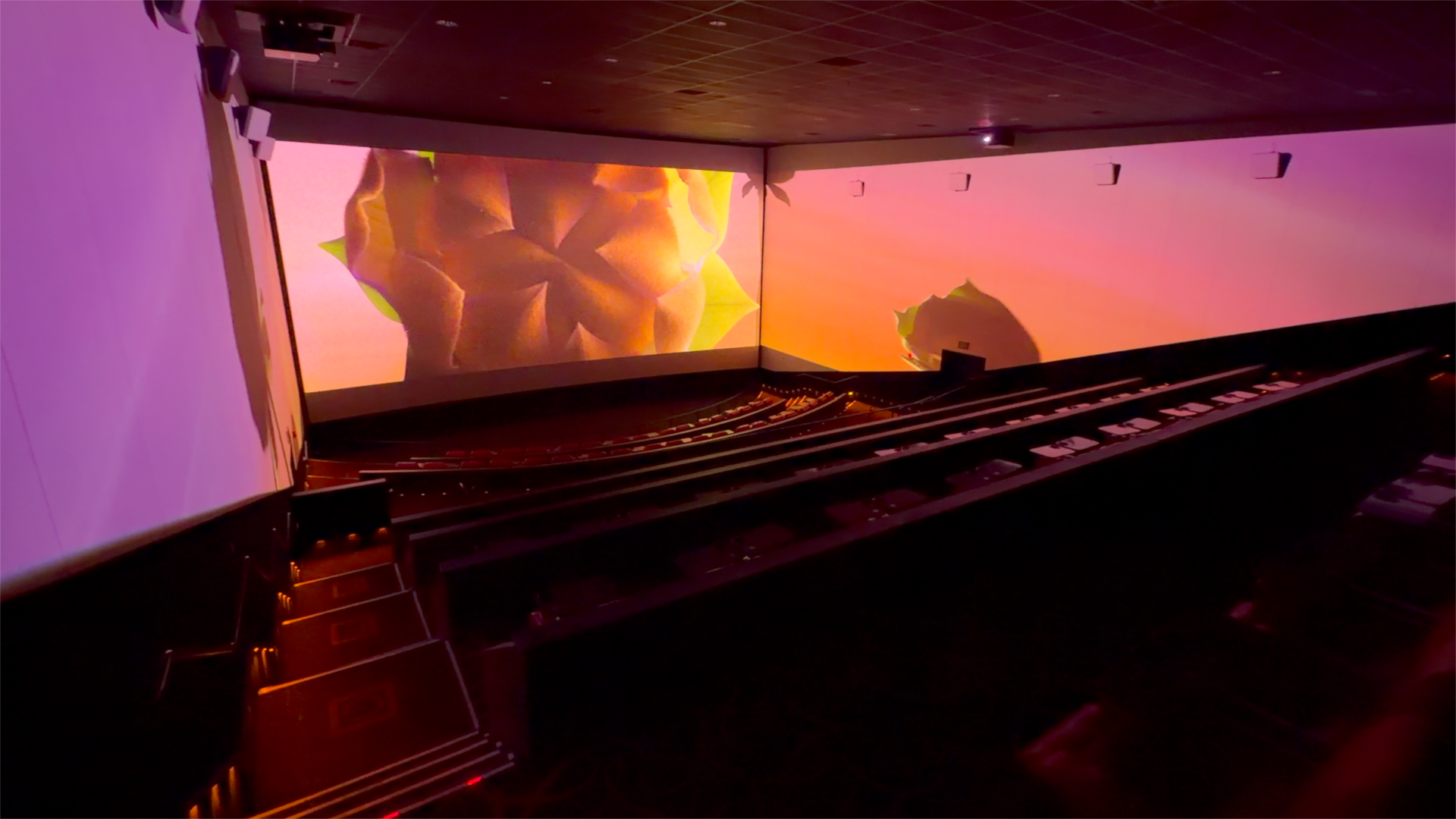 ScreenX at AMC.png