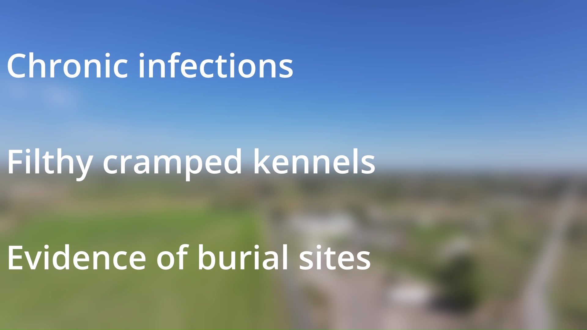 Sisters charged with animal cruelty in Shepherd dog breeding operation