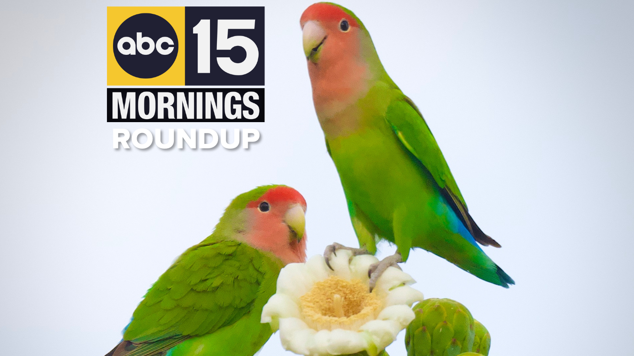 YOUR A.M. NEWS BRIEFING (5).png