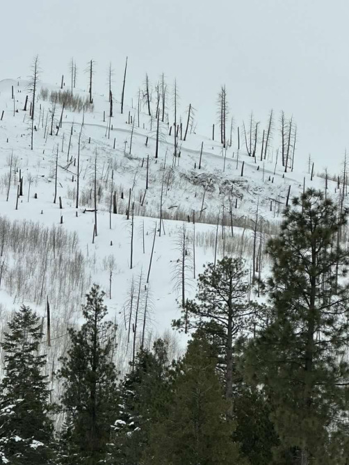 Vallecito Resevoir Avalanche
