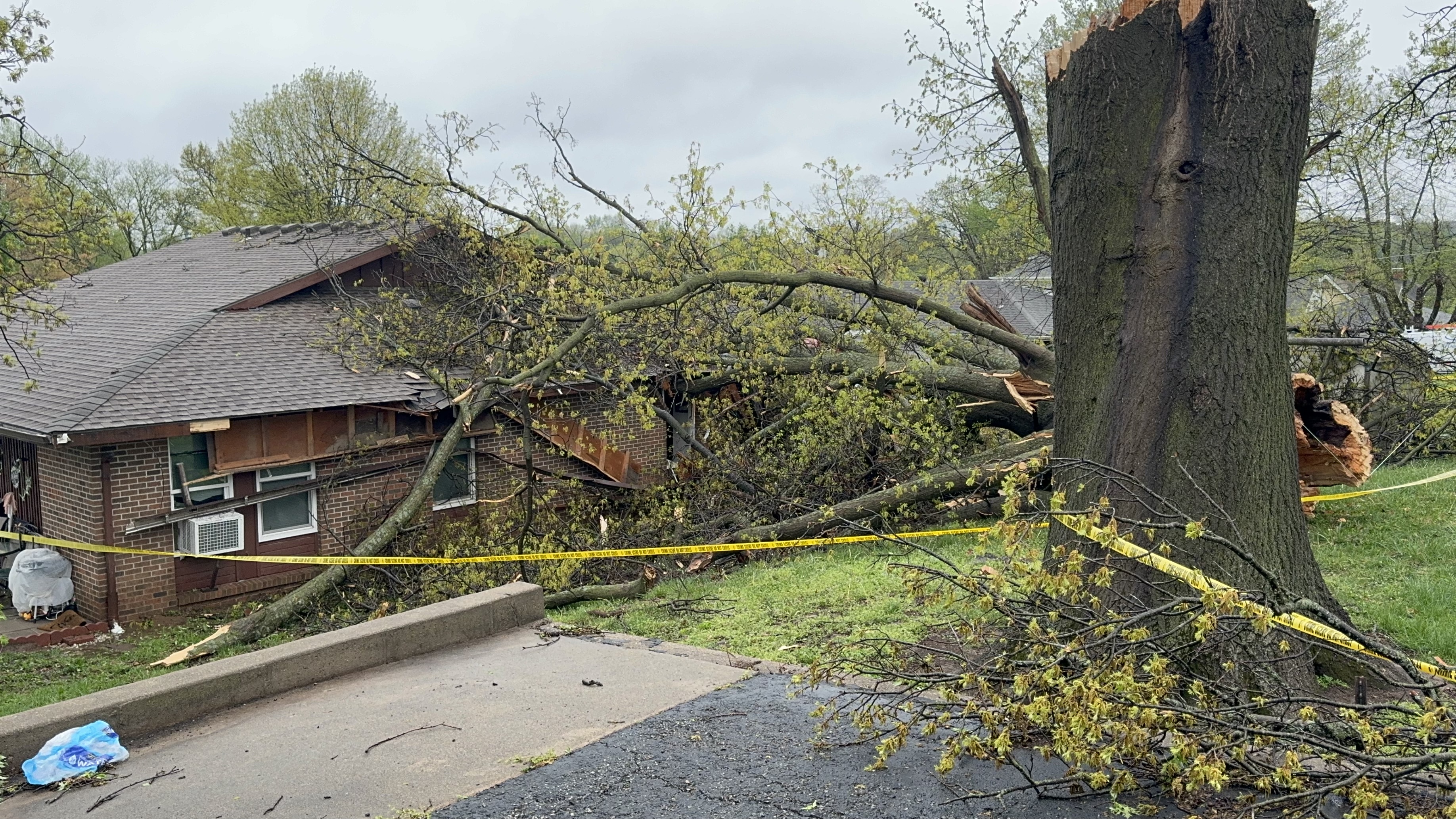 Tree falls into Weston senior living center