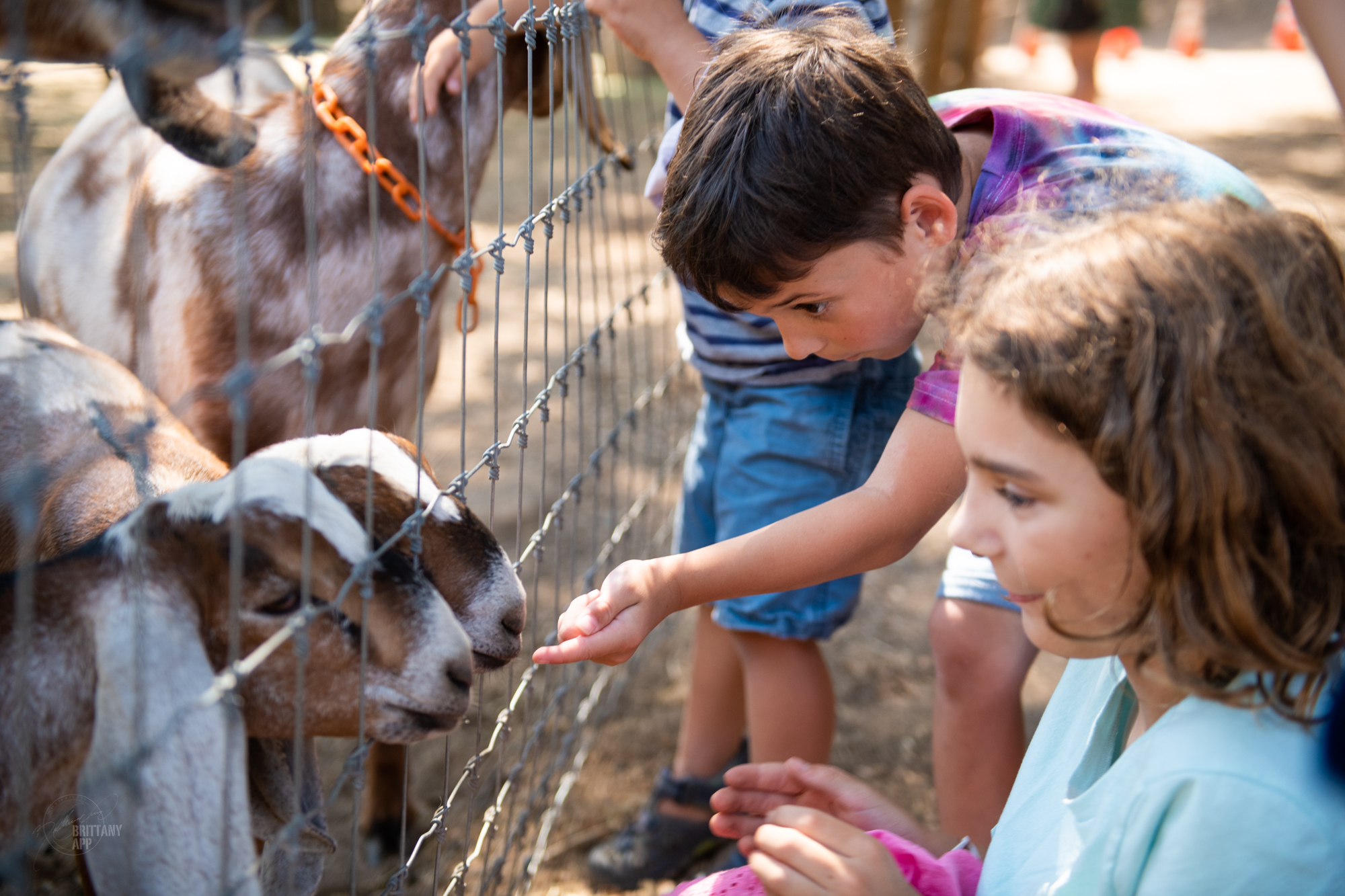 OPEN FARM DAY KIDS 8-3-21.jpg