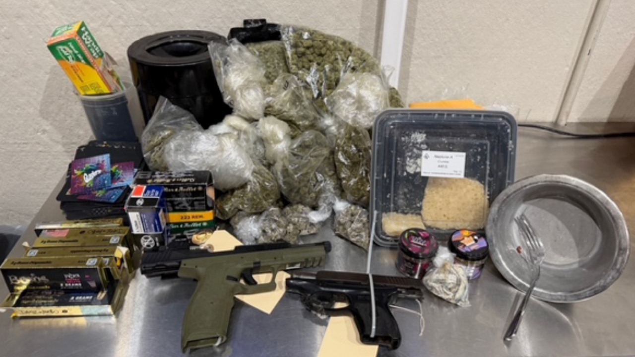 Man convicted 8 times arrested in Tampa gang investigation: HCSO