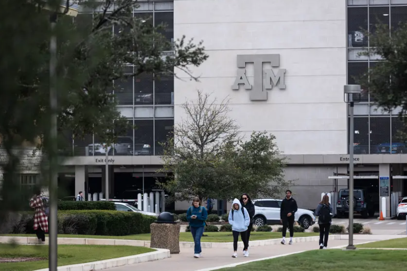 Eleven international students' ability to stay in the U.S. legally was revoked, Texas A&M officials said Tuesday.