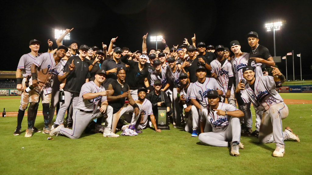 Jupiter Hammerheads celebrate after winning 2023 Florida State League championship