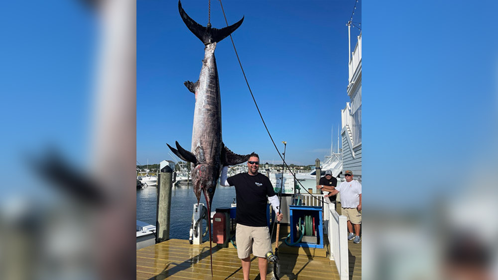 Record 393 pound swordfish reeled in off Ocean City Coast.jpg
