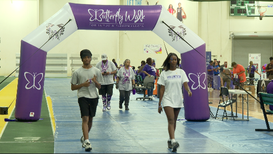 Butterfly Walk 2026