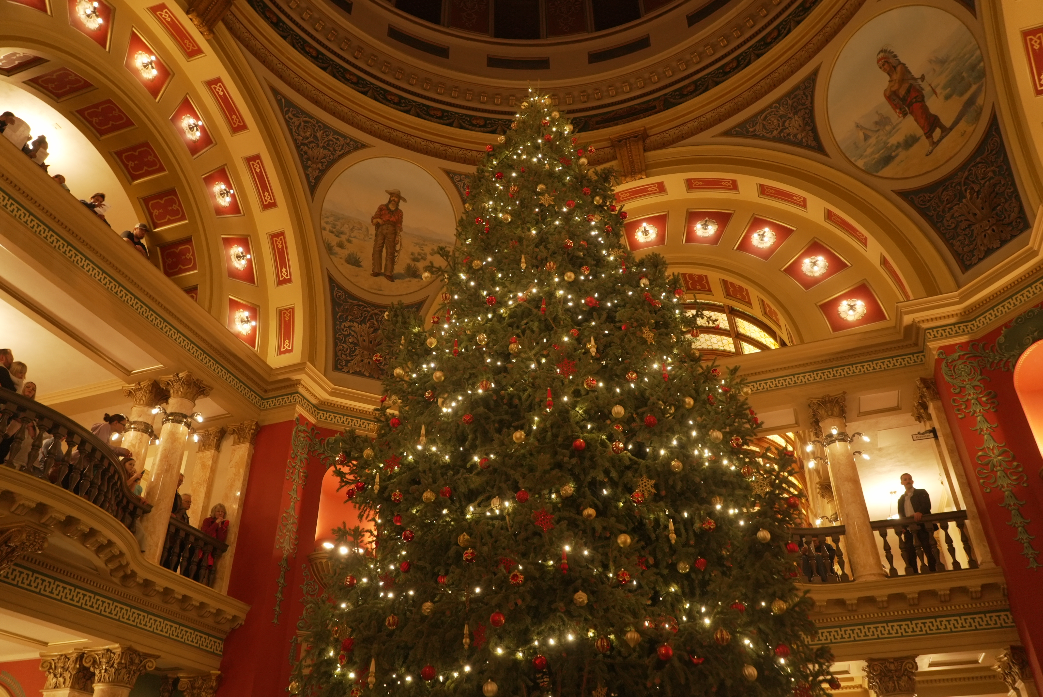 capitol tree